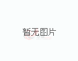 2026美加墨世界杯种子队名单确认
